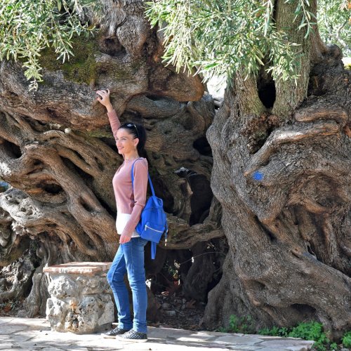 The Ionian Islands. Corfu, Lefkada, Cephalonia, Ithaca and Zakynthos – a journey to the homeland of Odysseus