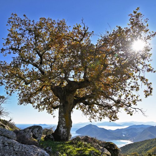 The Ionian Islands. Corfu, Lefkada, Cephalonia, Ithaca and Zakynthos – a journey to the homeland of Odysseus