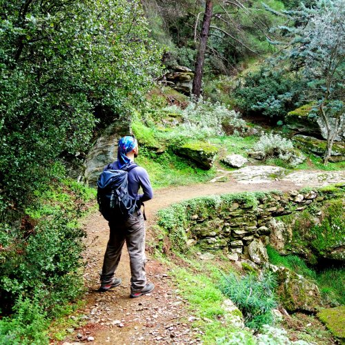 Discover secret Hymettus. Hiking guided day tour in Athens