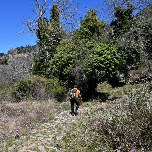 Trekking in the mountainous heart of the Peloponnese