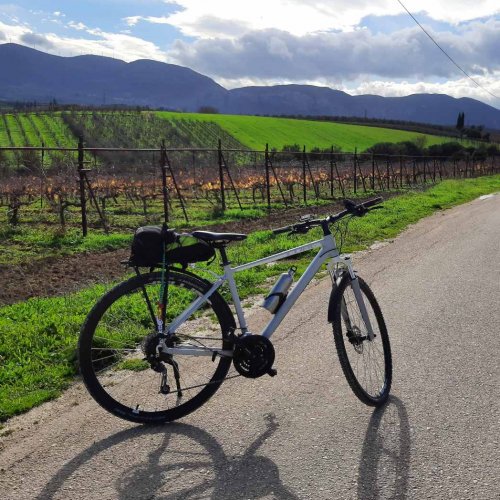 Unforgettable guided e-bike tour to ancient vineyards