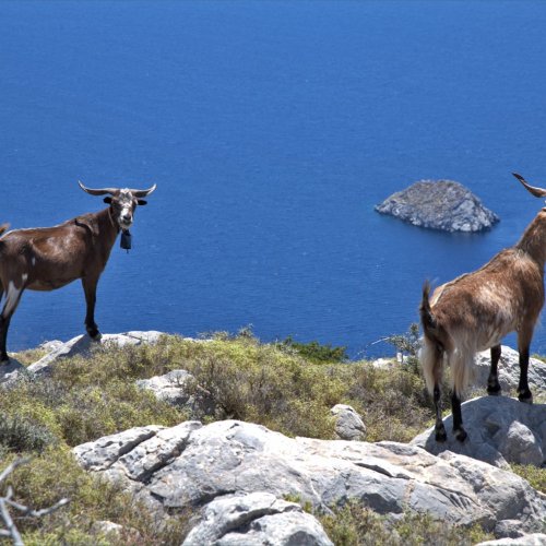 Argosaronic Gulf, island hopping and hiking holidays