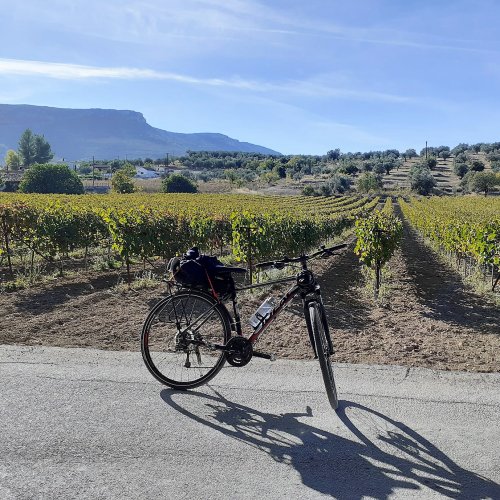 Unforgettable guided e-bike tour to ancient vineyards