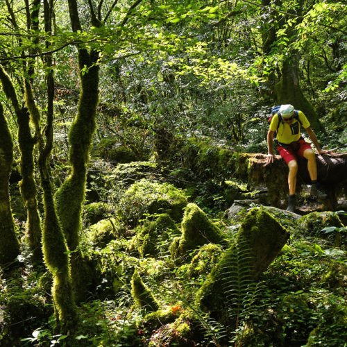 From the Aegean to the Ionian Sea. Mt Olympus, Meteora, Vikos Gorge and Corfu