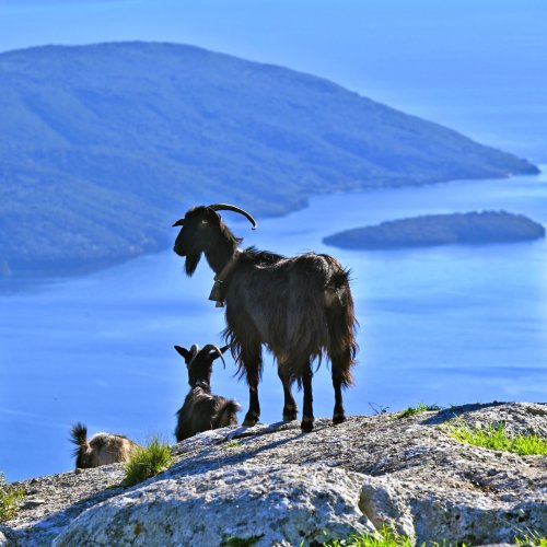 Ionian Islands. Corfu, Lefkada, Kefalonia and Ithaca – homeland of Odysseus