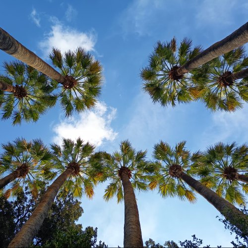 Athens National Garden Eco-guided Walk: A Nature Escape in the Heart of the City