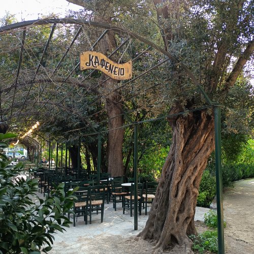Athens National Garden Eco-guided Walk: A Nature Escape in the Heart of the City