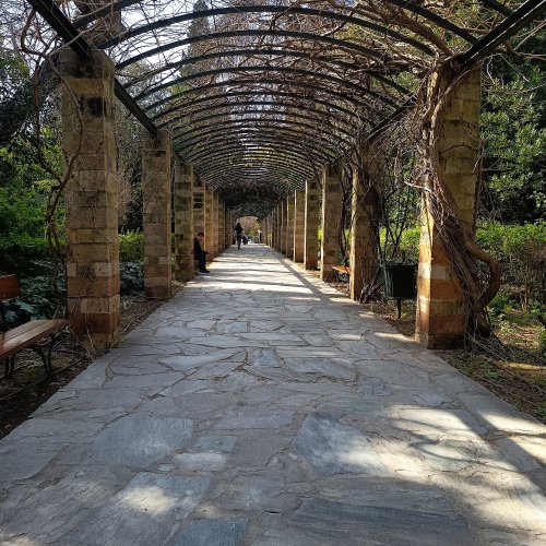 Athens National Garden Eco-guided Walk: A Nature Escape in the Heart of the City