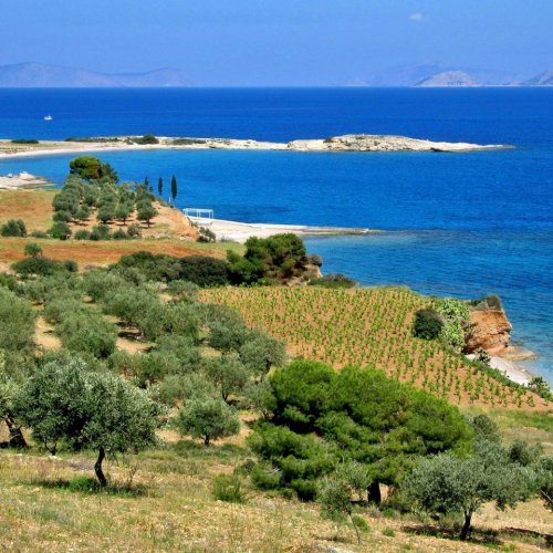 Bike holidays on the island of Spetses